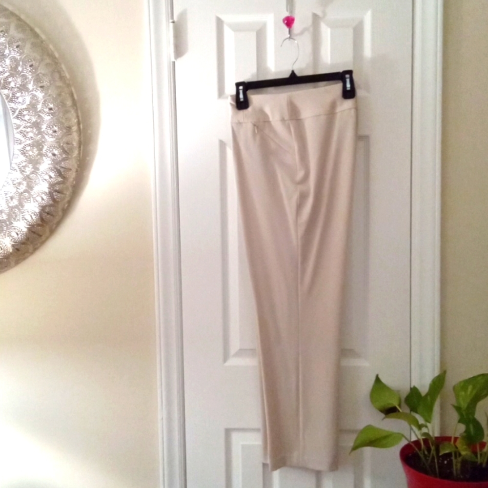 Investments Straight Leg Dress Pants